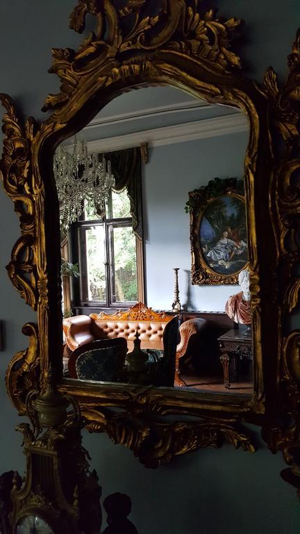 Romantic Chateau Krásná Lípa מראה חיצוני תמונה